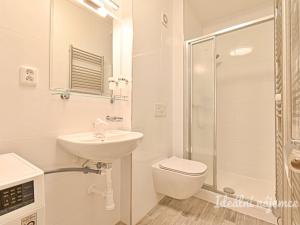 Pronájem bytu 1+1, Brno - Židenice, Škroupova, 38 m2