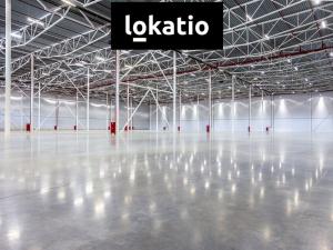 Pronájem skladu, Lužec nad Vltavou, 4300 m2