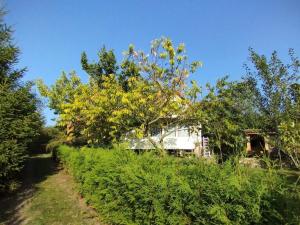 Prodej chaty, Křešice - Třeboutice, 55 m2