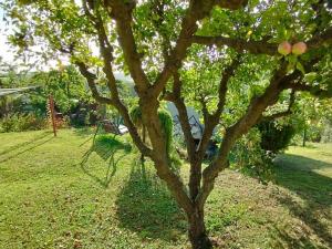 Prodej chaty, Křešice - Třeboutice, 55 m2