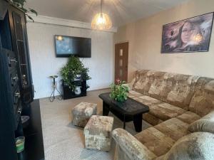 Pronájem bytu 3+1, Chomutov, Borová, 60 m2