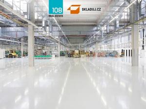 Pronájem skladu, Nový Jičín, Hřbitovní, 6500 m2