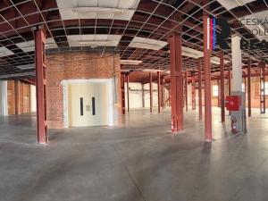 Pronájem výrobních prostor, Dolní Rychnov, Bergmannova, 5000 m2
