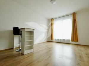 Pronájem bytu 1+kk, Plzeň, Nemocniční, 29 m2