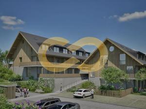 Prodej bytu 2+kk, Nové Hutě, 40 m2