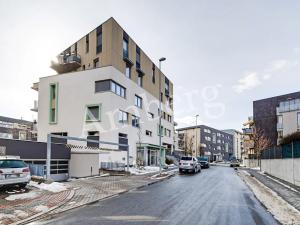Pronájem bytu 2+kk, Praha - Žižkov, Olgy Havlové, 54 m2