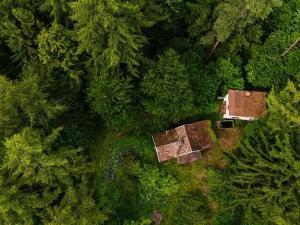 Prodej chaty, Votice, 125 m2