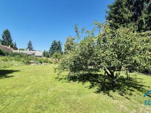 Prodej zemědělské usedlosti, Hlubyně, 300 m2