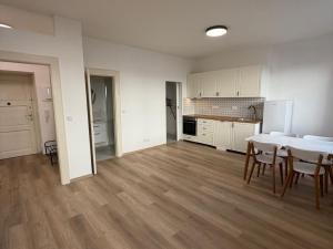 Pronájem bytu 2+kk, Brno - Veveří, Sušilova, 59 m2