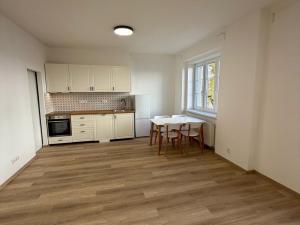 Pronájem bytu 2+kk, Brno - Veveří, Sušilova, 59 m2