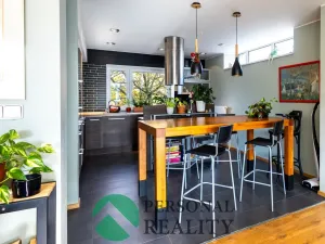 Prodej rodinného domu, Mladá Boleslav - Čejetice, Nezvalova, 251 m2