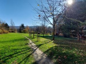 Pronájem bytu 3+1, Valašské Meziříčí, Zdeňka Fibicha, 82 m2