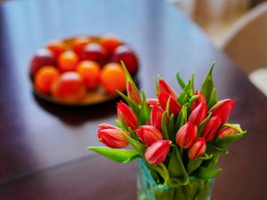 Prodej rodinného domu, Plzeň - Křimice, Plzeňská, 154 m2