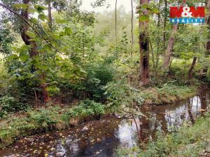 Prodej louky, Bystřice, 1741 m2