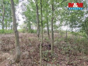 Prodej pole, Bystřice, 163 m2