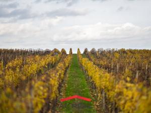 Prodej apartmánu, Strachotín, Šakvická, 33 m2