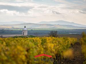 Prodej apartmánu, Strachotín, Šakvická, 46 m2