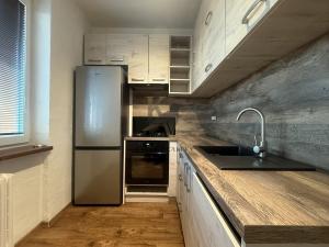 Pronájem bytu 2+1, Ostrava, Oty Synka, 55 m2