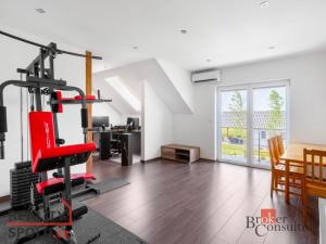 Prodej rodinného domu, Brandýsek, Nad Vodojemem, 392 m2