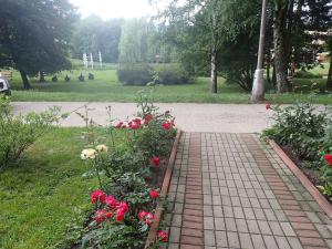 Pronájem bytu 1+kk, Liberec - Liberec XIV-Ruprechtice, Rychtářská, 18 m2