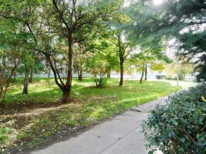 Prodej bytu 3+1, Praha - Podolí, Kaplická, 62 m2