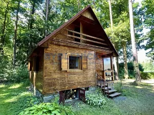 Prodej chaty, Olešnice, 60 m2