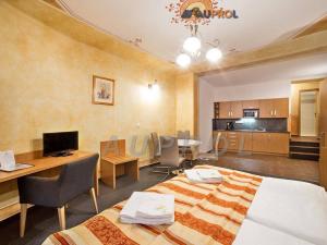 Prodej ubytování, Český Krumlov - Vnitřní Město, Široká, 400 m2