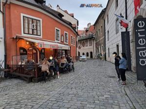 Prodej ubytování, Český Krumlov - Vnitřní Město, Široká, 400 m2