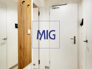 Pronájem bytu 2+kk, Brno, Cejl, 35 m2