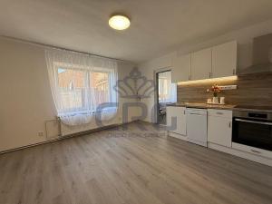 Pronájem rodinného domu, Čebín, 182 m2