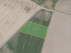 Prodej pole, Čachovice, 10046 m2