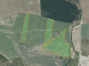 Prodej pole, Staňkovice, 260658 m2