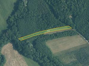 Prodej pole, Police, 43622 m2