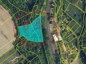 Prodej lesa, Radimovice, 7734 m2