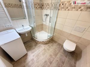 Pronájem bytu 1+kk, Praha - Smíchov, Drtinova, 27 m2