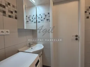 Pronájem bytu 1+1, Brno, 28 m2