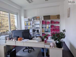 Pronájem kanceláře, Teplice, Novosedlická, 36 m2