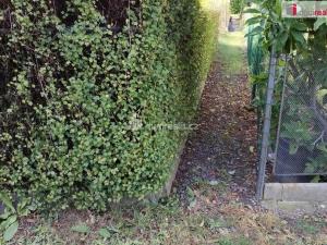 Prodej chaty, Mariánské Lázně - Úšovice, Bažantnice, 20 m2