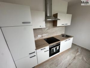 Pronájem bytu 3+1, Litvínov - Horní Litvínov, Valdštejnská, 62 m2
