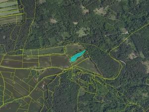 Prodej lesa, Kozárovice, 40085 m2