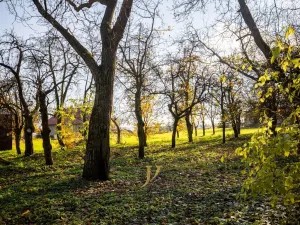 Prodej pozemku pro bydlení, Budětsko, 13897 m2