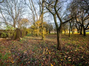 Prodej pozemku pro bydlení, Budětsko, 13897 m2
