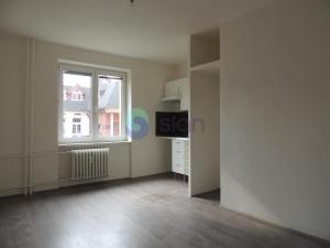 Pronájem bytu 1+kk, Ostrava - Mariánské Hory, Slavníkovců, 22 m2