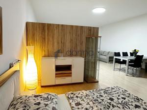 Pronájem bytu 1+kk, Praha, Březenská, 66 m2