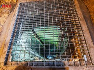 Pronájem obchodního prostoru, Praha - Žižkov, Seifertova, 90 m2