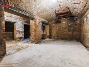 Pronájem obchodního prostoru, Praha - Žižkov, Seifertova, 100 m2