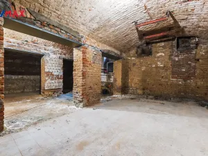 Pronájem obchodního prostoru, Praha - Žižkov, Seifertova, 100 m2