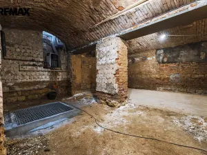 Pronájem obchodního prostoru, Praha - Žižkov, Seifertova, 110 m2