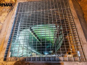 Pronájem obchodního prostoru, Praha - Žižkov, Seifertova, 110 m2