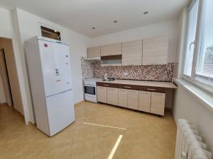 Pronájem bytu 1+1, Ostrava - Moravská Ostrava, Petra Křičky, 41 m2